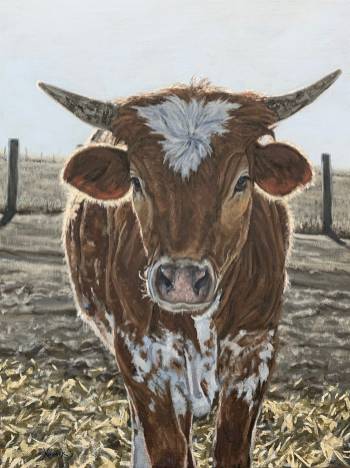 Light Will Shine Anywhere